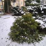Pola Piła
