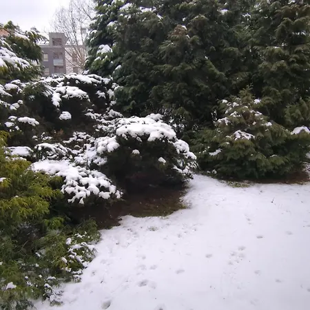 Pola アパート ピワ