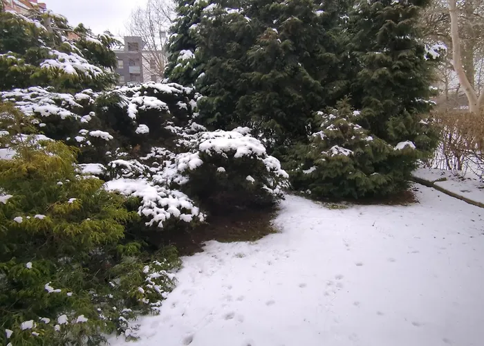 Pola アパート ピワ